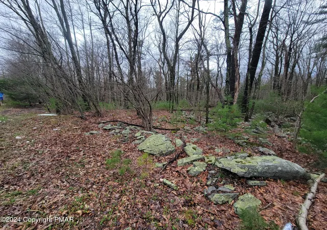 Photo 1 of Land for sale at Pa 739, Dingmans Ferry, PA 18328 | MLS# PM-145607 | Listing updated on 2026-10-13