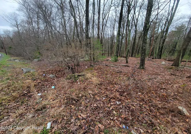 Photo 2 of Land for sale at Pa 739, Dingmans Ferry, PA 18328 | MLS# PM-145607 | Listing updated on 2026-10-13