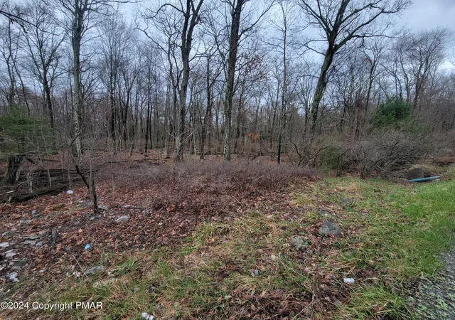 Photo 3 of Land for sale at Pa 739, Dingmans Ferry, PA 18328 | MLS# PM-145607 | Listing updated on 2026-10-13