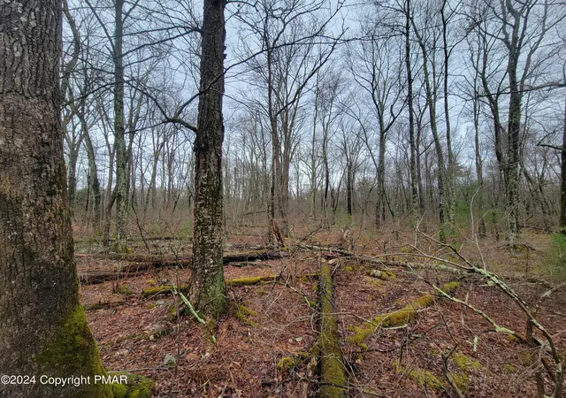 Photo 3 of Land for sale at Pa 739, Dingmans Ferry, PA 18328 | MLS# PM-145607 | Listing updated on 2026-10-13