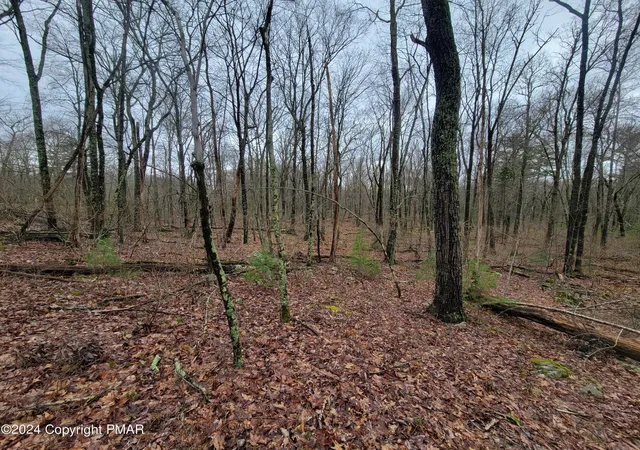 Photo 4 of Land for sale at Pa 739, Dingmans Ferry, PA 18328 | MLS# PM-145607 | Listing updated on 2026-10-13