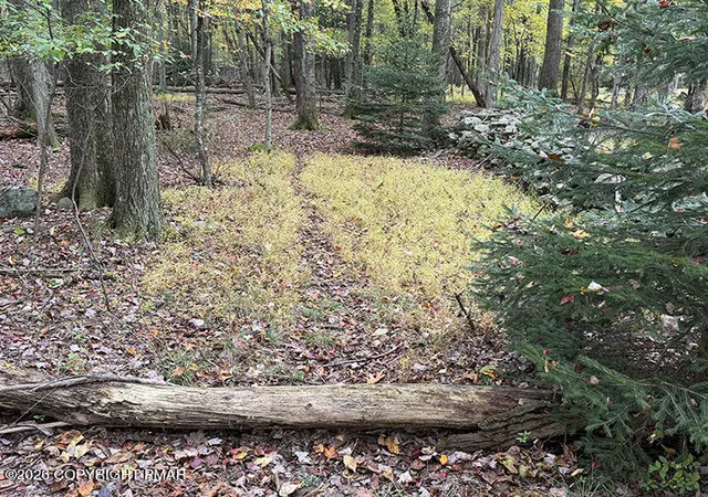 Photo 3 of Land for sale at Cays Rd, Stroudsburg, PA 18360 | MLS# PM-145625 | Listing updated on 2026-10-14