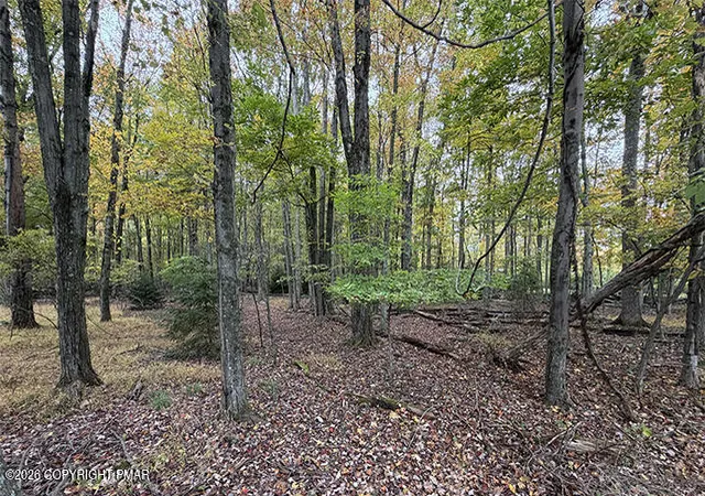Photo 4 of Land for sale at Cays Rd, Stroudsburg, PA 18360 | MLS# PM-145625 | Listing updated on 2026-10-14