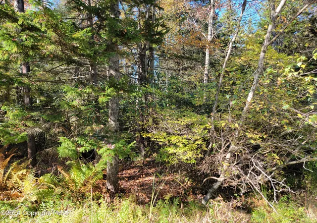 Photo 1 of Land for sale at Lot 18& 19 Louis Ln, Gouldsboro, PA 18424 | MLS# PM-145702 | Listing updated on 2026-10-16