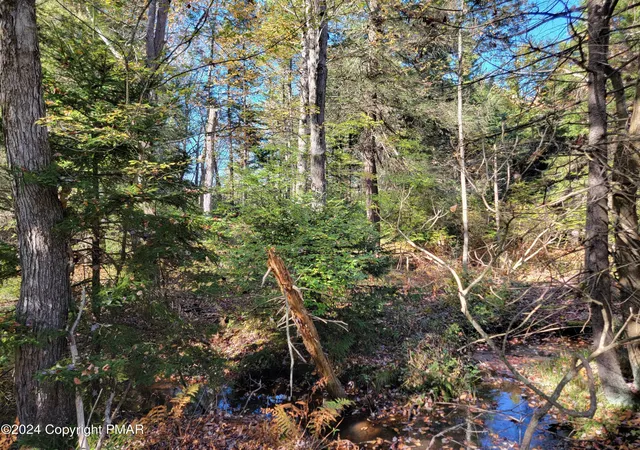 Photo 2 of Land for sale at Lot 18& 19 Louis Ln, Gouldsboro, PA 18424 | MLS# PM-145702 | Listing updated on 2026-10-16