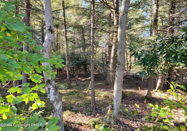 Photo 3 of Land for sale at Lot 18& 19 Louis Ln, Gouldsboro, PA 18424 | MLS# PM-145702 | Listing updated on 2026-10-16