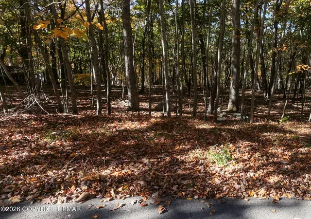 Photo 3 of Land for sale at 750 Cornwall Pl, Bushkill, PA 18324 | MLS# PM-145714 | Listing updated on 2026-10-16