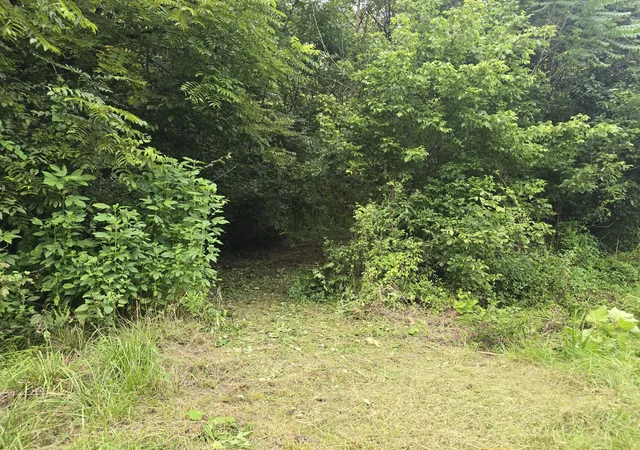 Photo 2 of Land for sale at 0 Us 119 Bell Harlan County Line, Calvin, KY 40813 | MLS# 26000447 | Listing updated on 2026-09-13