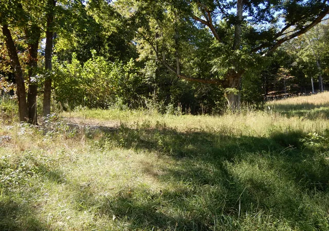 Land for sale at Lot 7 And 8 Roy Harris Rd, Kuttawa, KY 42055 | MLS# 26015745