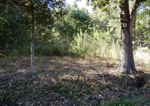 Photo 2 of Land for sale at Lot 7 And 8 Roy Harris Rd, Kuttawa, KY 42055 | MLS# 26015745 | Listing updated on 2026-10-09