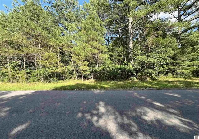Photo 2 of Land for sale at Unit 2 Lot 96 Briarfield Rd, Murray, KY 42071 | MLS# 26017845 | Listing updated on 2026-09-10