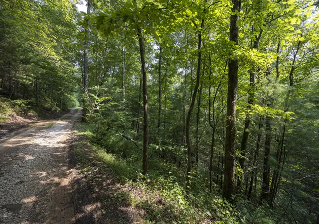 Photo 1 of Land for sale at Lot 2 Cave Holw Rd, Campton, KY 41301 | MLS# 26020147 | Listing updated on 2026-09-11