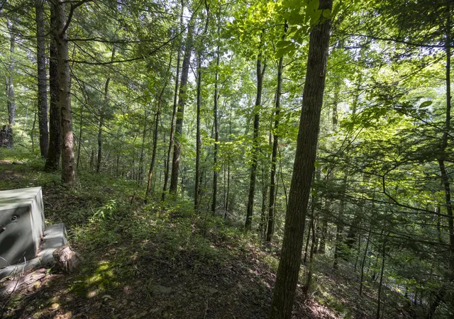 Photo 4 of Land for sale at Lot 2 Cave Holw Rd, Campton, KY 41301 | MLS# 26020147 | Listing updated on 2026-10-13