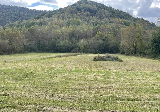 Photo 1 of Land for sale at 791 Moore Crk Rd, Flat Lick, KY 40935 | MLS# 26020307 | Listing updated on 2026-10-15