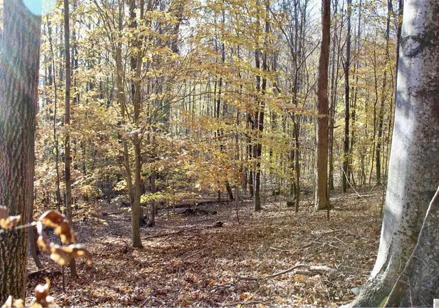 Photo 1 of Land for sale at Lots 27e   32e Parkersville Rd, Eddyville, KY 42038 | MLS# 26023940 | Listing updated on 2026-09-01