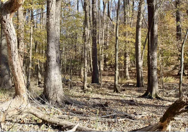 Photo 3 of Land for sale at Lots 27e - 32e Parkersville Rd, Eddyville, KY 42038 | MLS# 26023940 | Listing updated on 2026-09-01