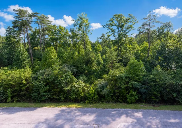 Land for sale at Lot 34 Doc Nichols Landing, Bronston, KY 42518 | MLS# 26022026