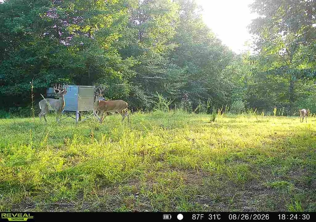 Photo 4 of Sale Pending at 6861 Rockcastle Rd, Cadiz, KY 42211 | MLS# 26022468 | Listing updated on 2026-09-28