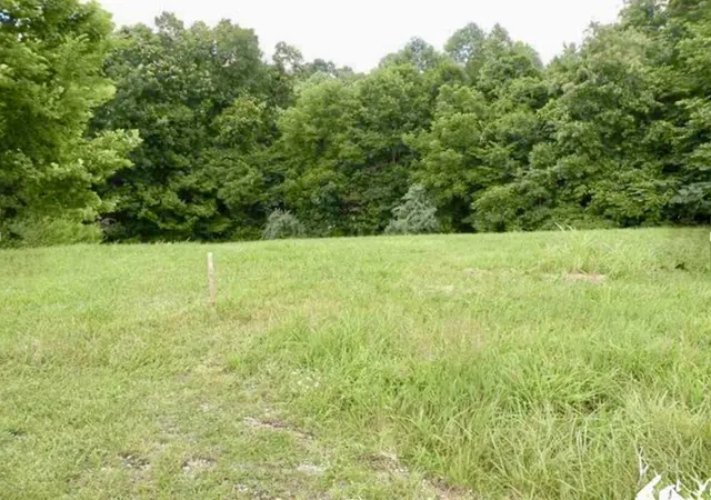 Photo 1 of Land for sale at Lot 14 Corinne Dr, Eddyville, KY 42038 | MLS# 26023925 | Listing updated on 2026-09-01