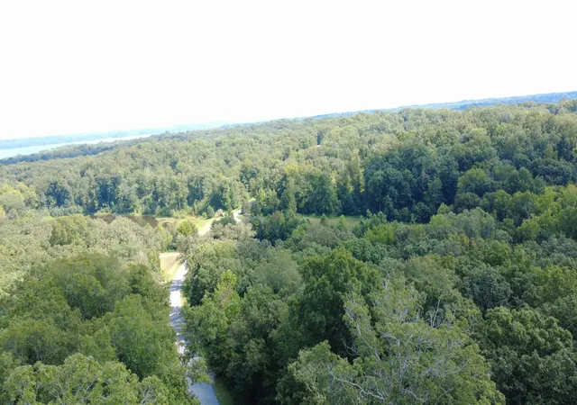 Photo 4 of Land for sale at Lot 172 Shine Ln, Murray, KY 42071 | MLS# 26023986 | Listing updated on 2026-09-01