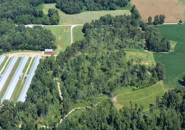 Photo 2 of Land for sale at 00 Chapel Rd, Sedalia, KY 42079 | MLS# 26023991 | Listing updated on 2026-09-01