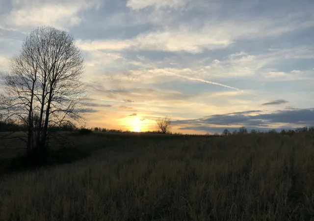Photo 2 of Land for sale at 1350 Cream Ridge Rd, Junction City, KY 40440 | MLS# 26024184 | Listing updated on 2026-09-18