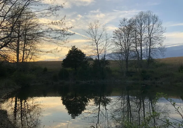 Photo 3 of Land for sale at 1350 Cream Ridge Rd, Junction City, KY 40440 | MLS# 26024184 | Listing updated on 2026-09-18