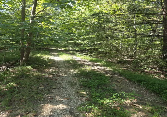 Photo 1 of Land for sale at 2096 State Hwy 1036, Stanton, KY 40380 | MLS# 26024020 | Listing updated on 2026-09-02