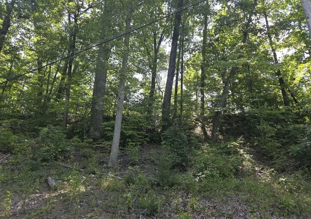 Photo 3 of Land for sale at 2096 State Hwy 1036, Stanton, KY 40380 | MLS# 26024020 | Listing updated on 2026-09-02