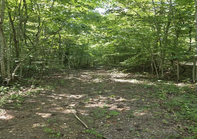 Photo 3 of Land for sale at 2096 State Hwy 1036, Stanton, KY 40380 | MLS# 26024020 | Listing updated on 2026-09-02