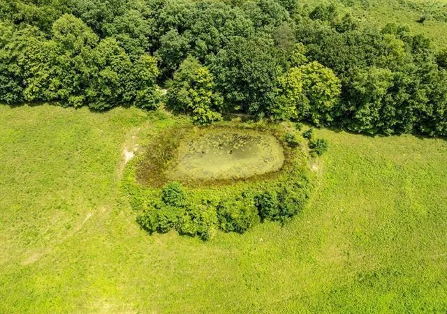 Photo 4 of Land for sale at 2285 State Hwy 755, Sandy Hook, KY 41171 | MLS# 26023936 | Listing updated on 2026-09-01