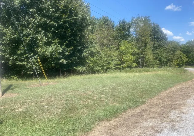 Land for sale at Lot 115 Woodfield Ests Dr, Cadiz, KY 42211 | MLS# 26023971