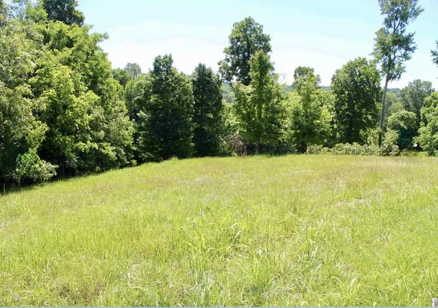 Photo 2 of Land for sale at Lot 11 Oak View Ln, Eddyville, KY 42038 | MLS# 26024007 | Listing updated on 2026-09-01