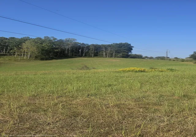 Photo 3 of Land for sale at 0 Trenton Ct, Nancy, KY 42544 | MLS# 26024056 | Listing updated on 2026-09-08