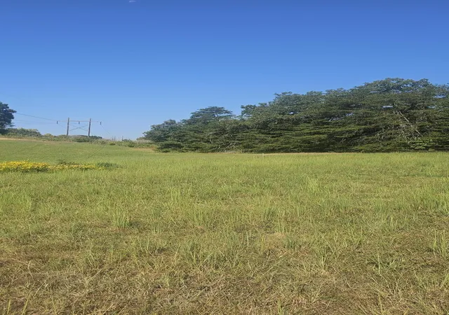 Photo 4 of Land for sale at 0 Trenton Ct, Nancy, KY 42544 | MLS# 26024056 | Listing updated on 2026-09-08