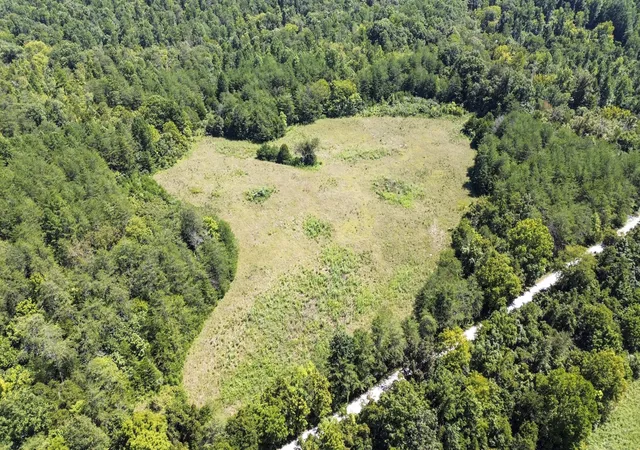 Photo 2 of Sale Pending at 0 Parmleysville Rd, Monticello, KY 42633 | MLS# 26024090 | Listing updated on 2026-09-25
