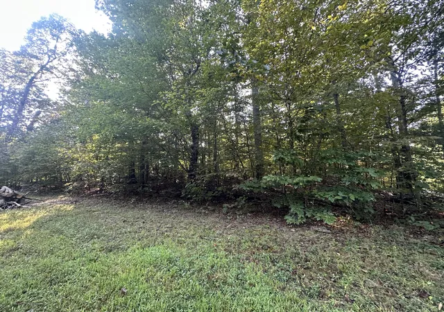 Photo 2 of Land for sale at 105b 719 724 Ky Lake Dev Haner Ln, New Concord, KY 42076 | MLS# 26024104 | Listing updated on 2026-09-02
