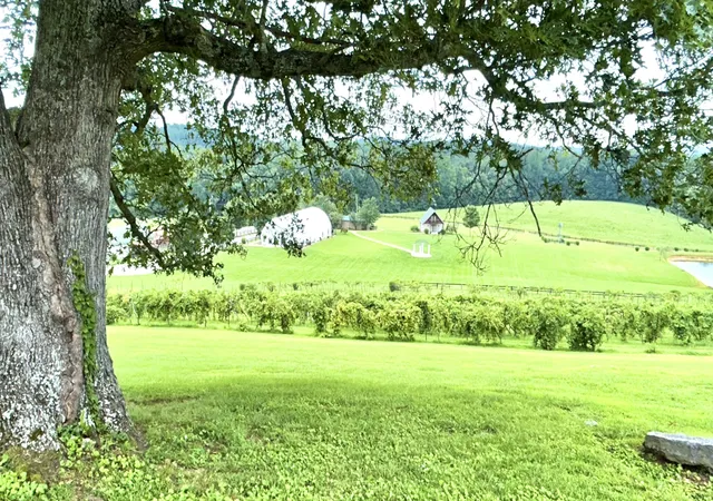 Photo 3 of House for sale at 45 Cave Hl Way, Eubank, KY 42567 | MLS# 26024157 | Listing updated on 2026-09-02