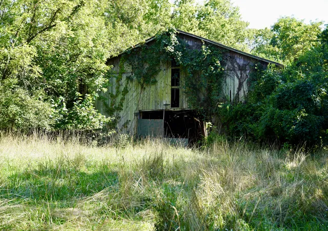 Photo 105 of Land for sale at 0000 Knox Lillard Rd, Ghent, KY 41045 | MLS# 26024240 | Listing updated on 2026-09-03