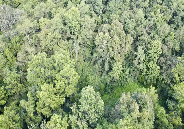 Photo 2 of Land for sale at 0000 Knox Lillard Rd, Ghent, KY 41045 | MLS# 26024240 | Listing updated on 2026-09-03