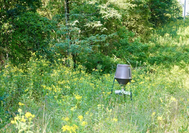 Photo 2 of Land for sale at 0000 Knox Lillard Rd, Sanders, KY 41083 | MLS# 26024246 | Listing updated on 2026-09-03