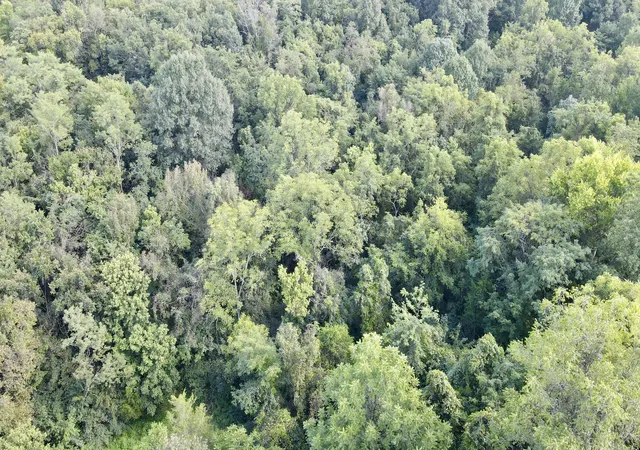 Photo 3 of Land for sale at 0000 Knox Lillard Rd, Sanders, KY 41083 | MLS# 26024246 | Listing updated on 2026-09-03