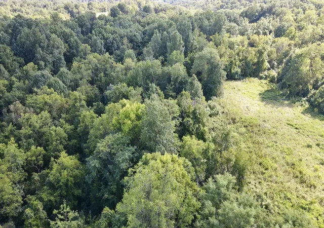 Photo 4 of Land for sale at 0000 Knox Lillard Rd, Sanders, KY 41083 | MLS# 26024246 | Listing updated on 2026-09-03
