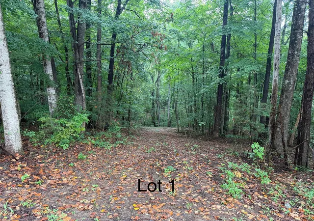 Land for sale at 5664 Ky 1546 #Lot 1, Monticello, KY 42633 | MLS# 26025093