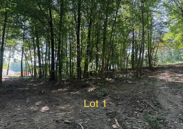 Photo 2 of Land for sale at 5664 Ky 1546 #Lot 1, Monticello, KY 42633 | MLS# 26025093 | Listing updated on 2026-09-12