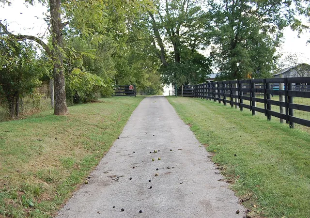 Photo 2 of Sale Pending at 990 Clay Kiser Rd, Paris, KY 40361 | MLS# 26024730 | Listing updated on 2026-10-13