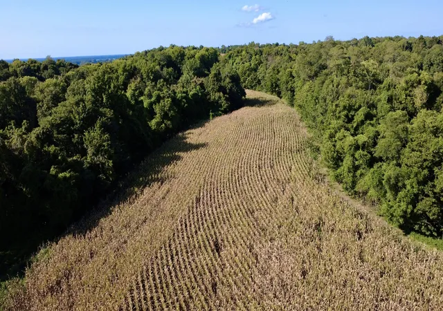 Photo 1 of Land for sale at 0000 New Lakton Rd, Bardwell, KY 42023 | MLS# 26024435 | Listing updated on 2026-09-04