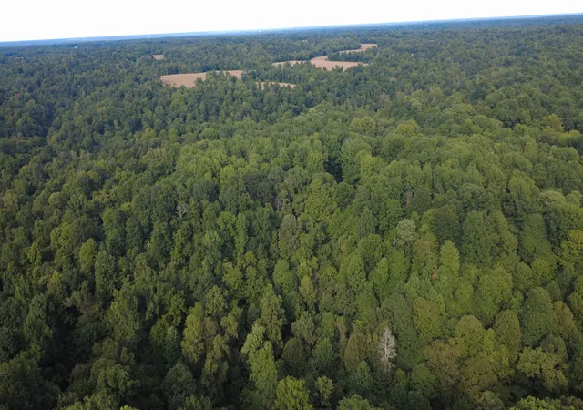 Photo 3 of Land for sale at 0000 New Lakton Rd, Bardwell, KY 42023 | MLS# 26024435 | Listing updated on 2026-09-04
