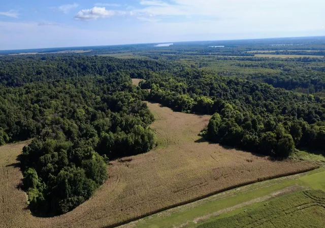 Photo 3 of Land for sale at 0000 New Lakton Rd, Bardwell, KY 42023 | MLS# 26024435 | Listing updated on 2026-09-04