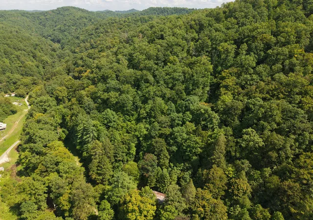 Photo 4 of Land for sale at 1081 Wooten Frk Rd, Tomahawk, KY 41262 | MLS# 26024427 | Listing updated on 2026-09-04